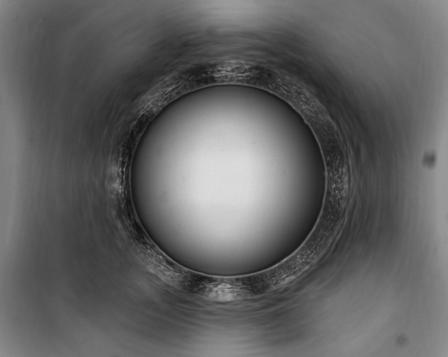 X0000101180755200806271251