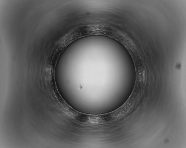 X0000101180757200806271251