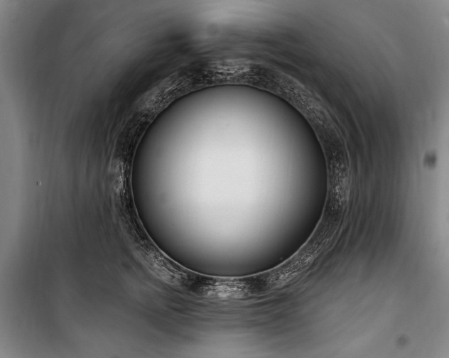 X0000101180758200806271251