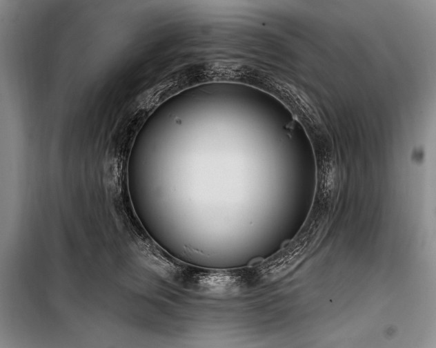 X0000101180759200806271251