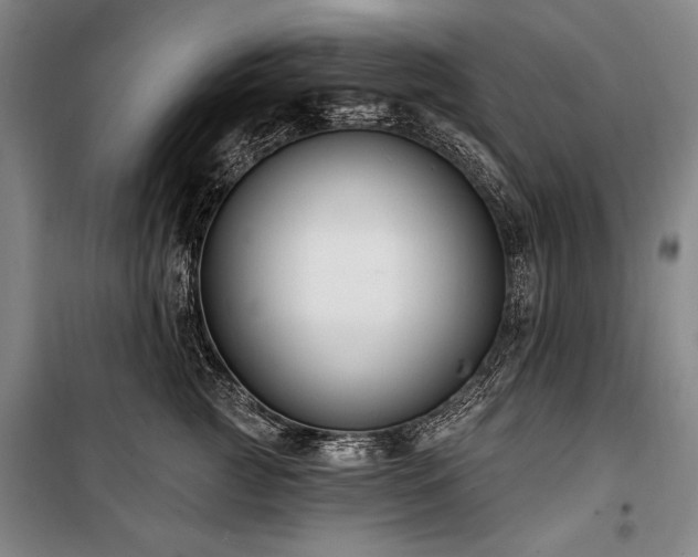 X0000101180761200806271251