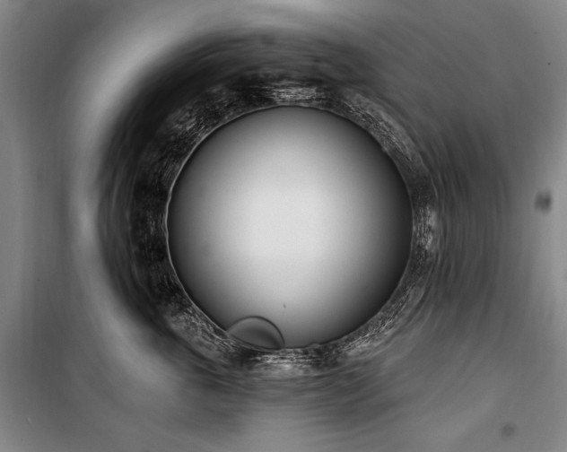 X0000101180763200806271252
