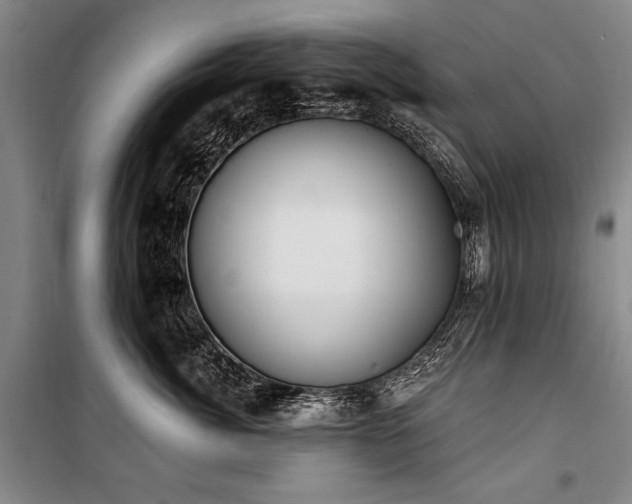 X0000101180764200806271252