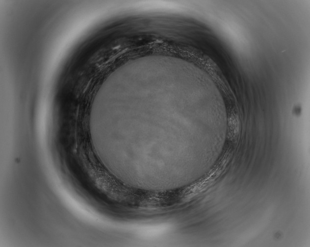 X0000101180765200806271252
