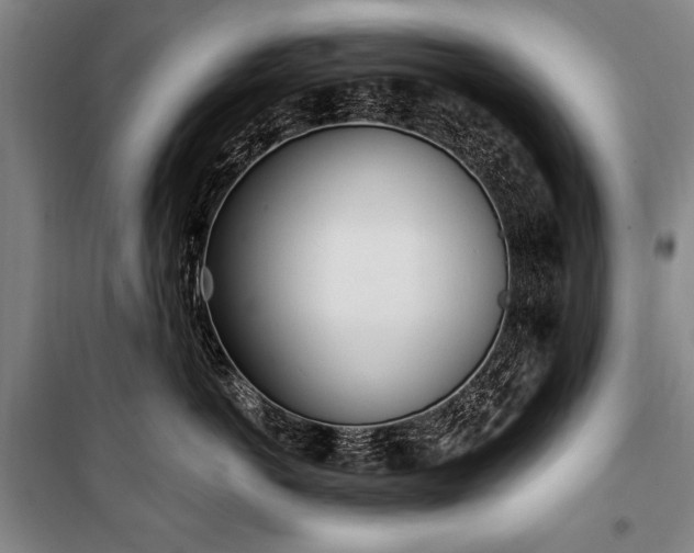 X0000101180766200806271252