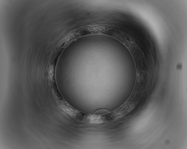 X0000101180767200806271252