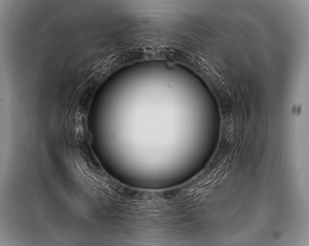 X0000101180770200806271251