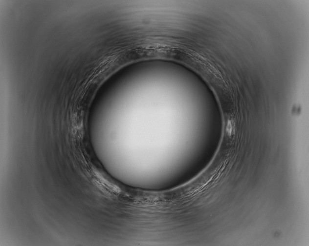 X0000101180771200806271251