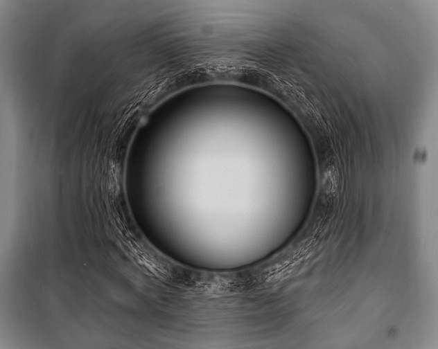 X0000101180772200806271251
