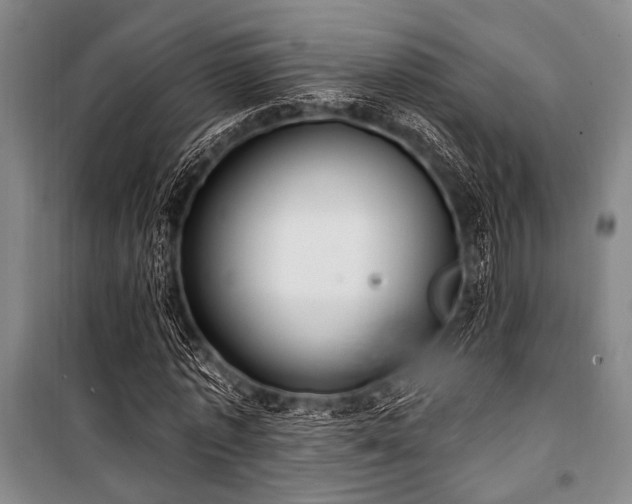 X0000101180773200806271251