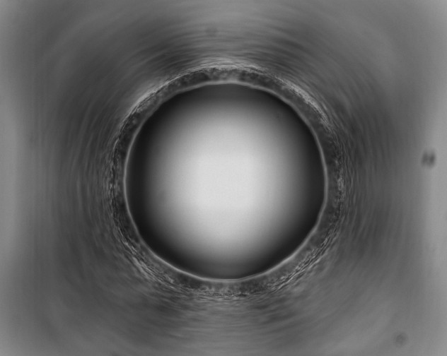 X0000101180775200806271251