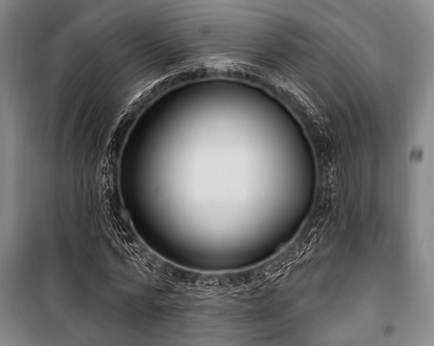 X0000101180776200806271251