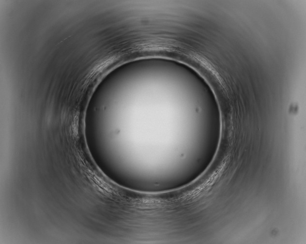 X0000101180777200806271251