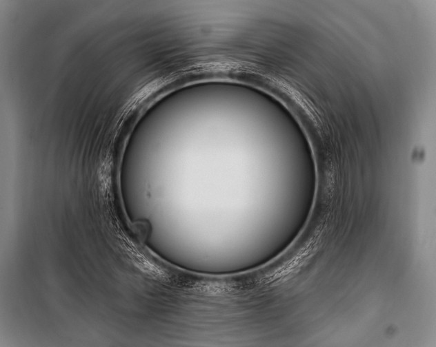 X0000101180778200806271251
