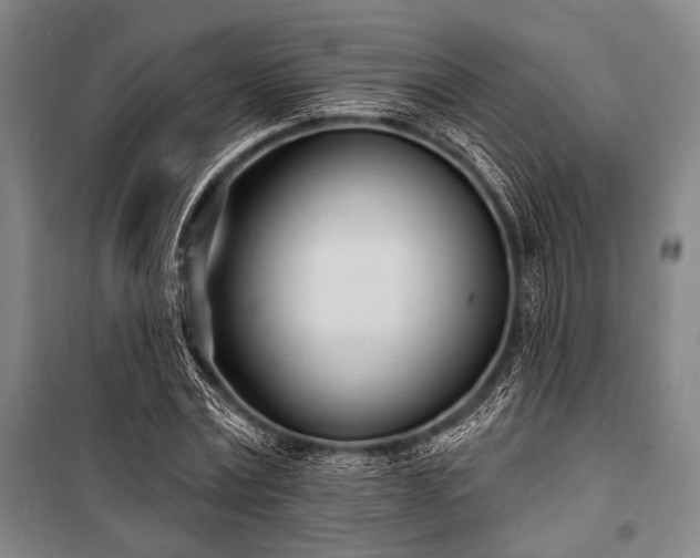 X0000101180779200806271251