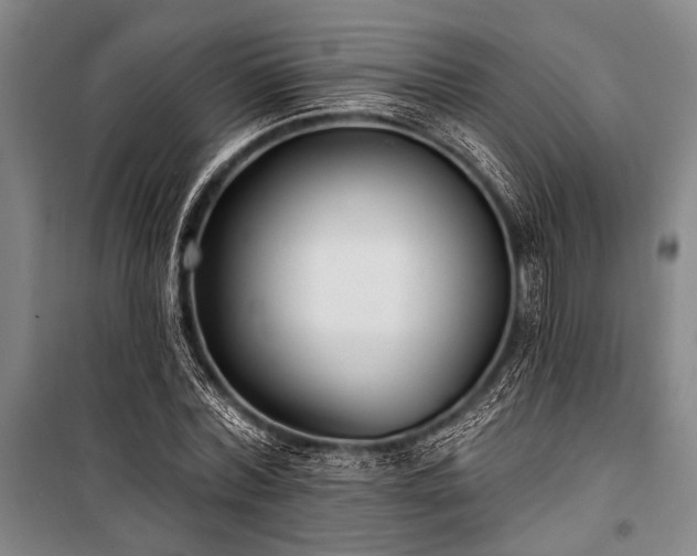 X0000101180780200806271251