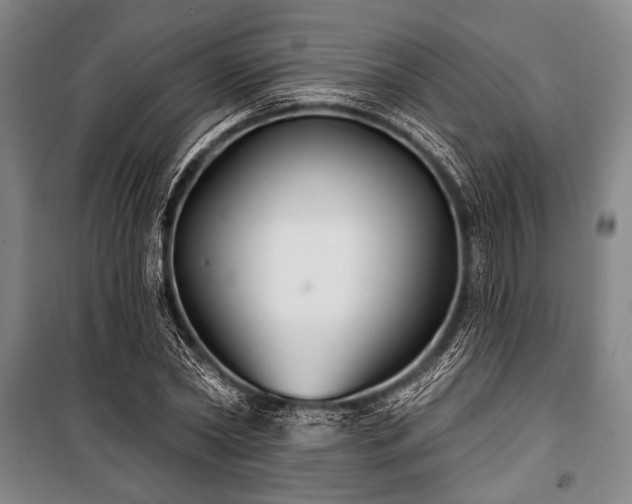 X0000101180782200806271251