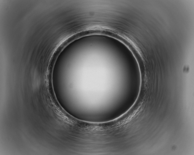 X0000101180783200806271251