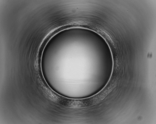 X0000101180784200806271251