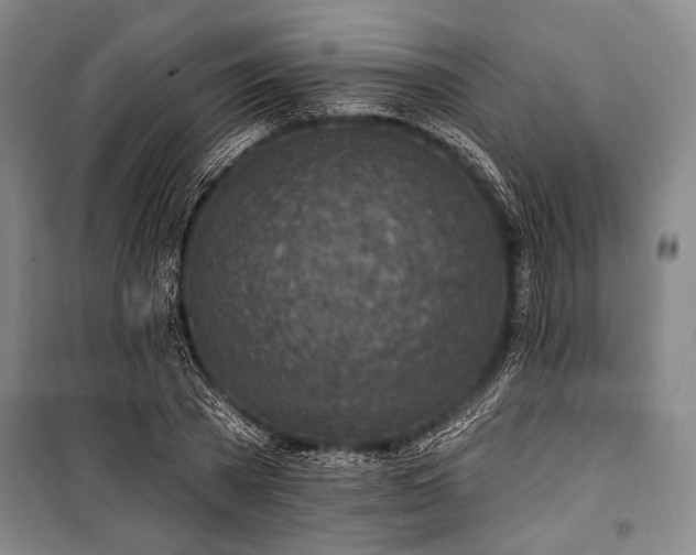 X0000101180785200806271251