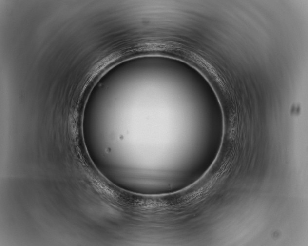 X0000101180786200806271251