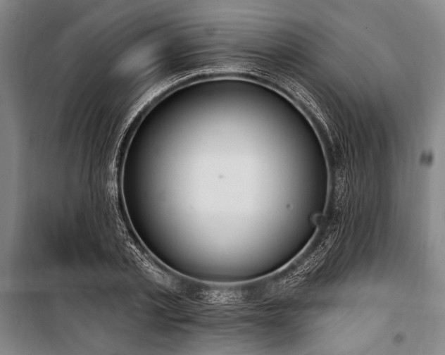 X0000101180789200806271250