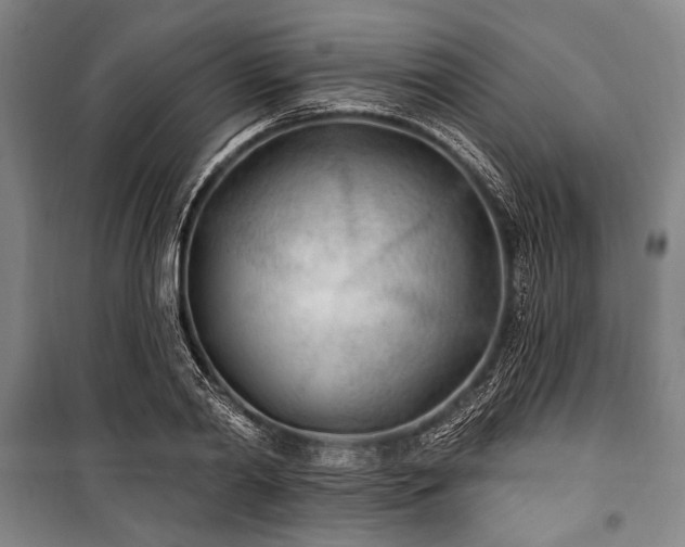 X0000101180790200806271250