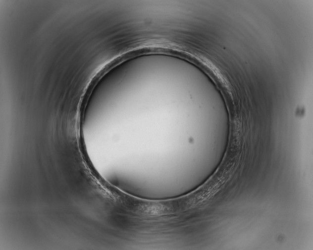 X0000101180791200806271250
