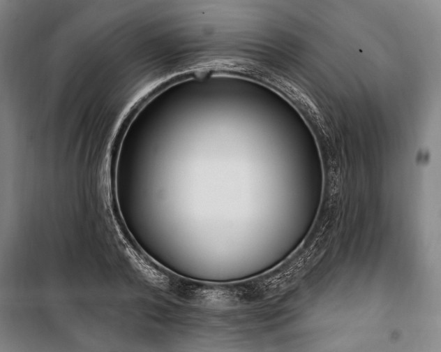 X0000101180792200806271250