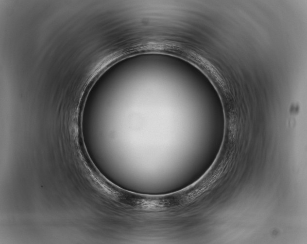 X0000101180794200806271250