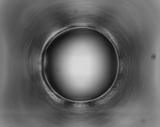 X0000101180795200806271250