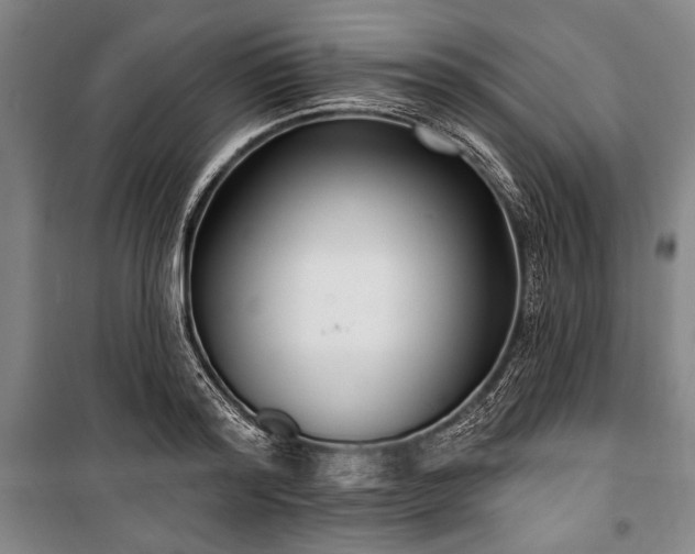 X0000101180796200806271250