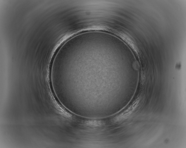 X0000101180797200806271250