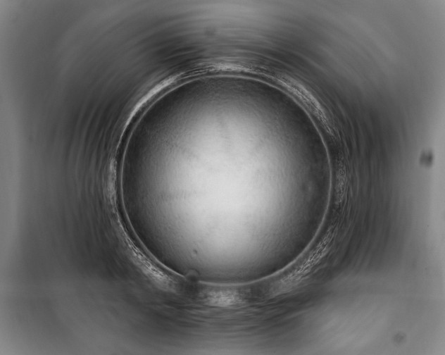 X0000101180798200806271250