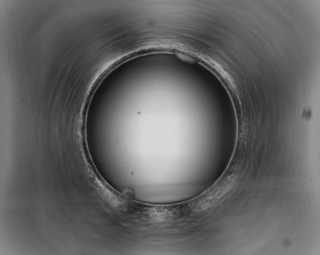 X0000101180799200806271250
