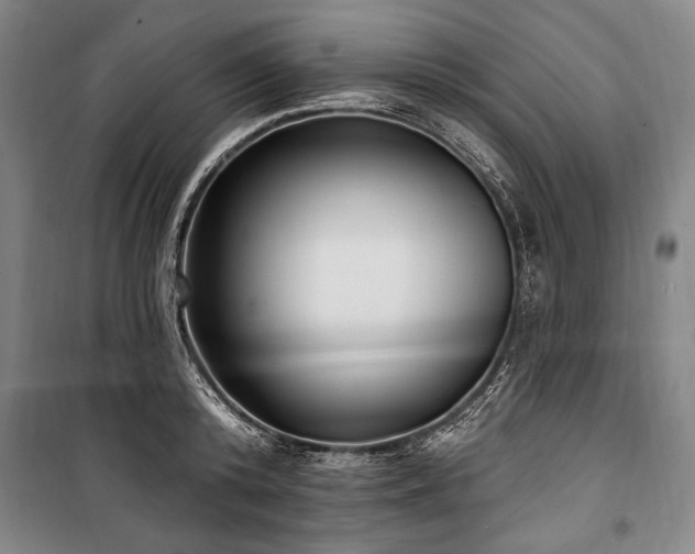 X0000101180800200806271250