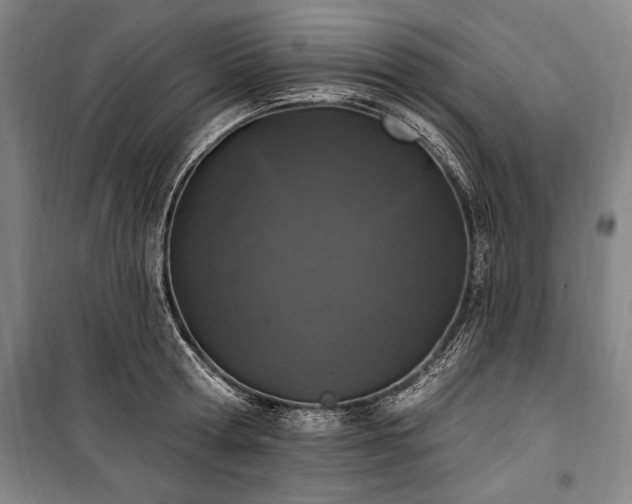 X0000101180802200806271250