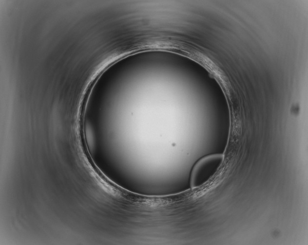 X0000101180803200806271250