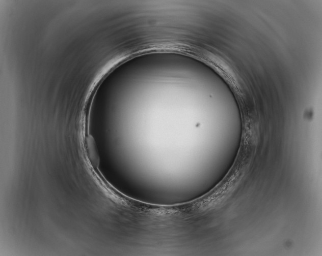 X0000101180804200806271250