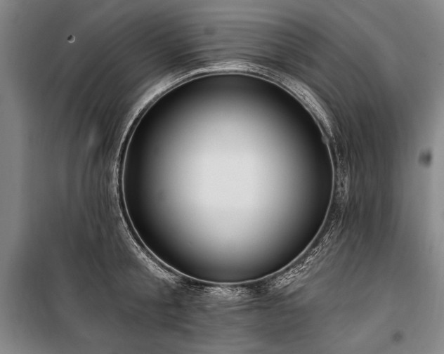 X0000101180805200806271250