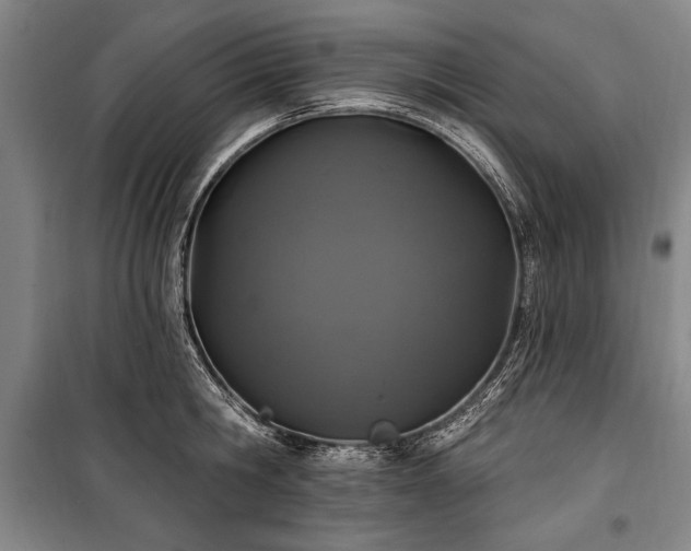 X0000101180806200806271250