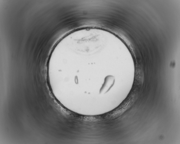X0000101180807200806271250