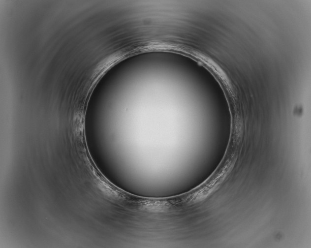 X0000101180809200806271250