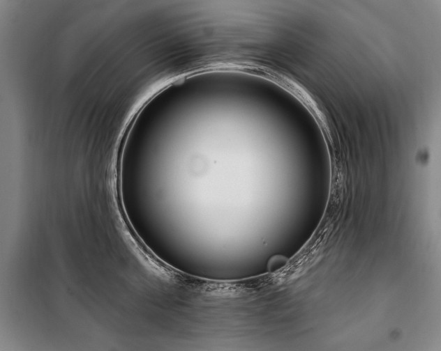 X0000101180811200806271250