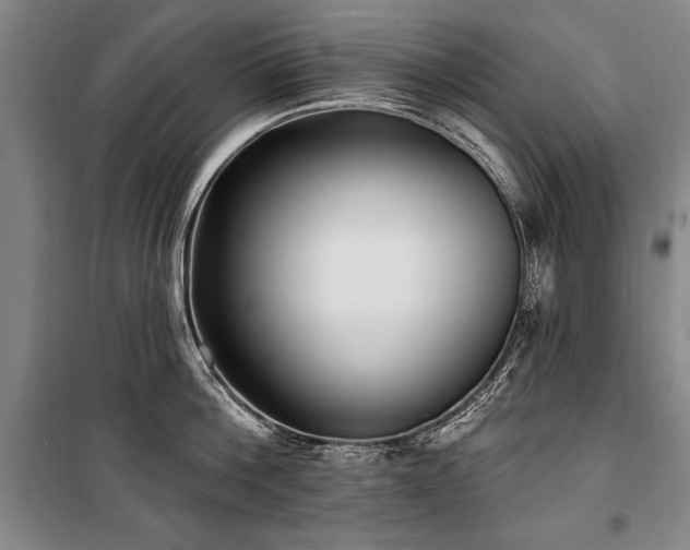 X0000101180812200806271250