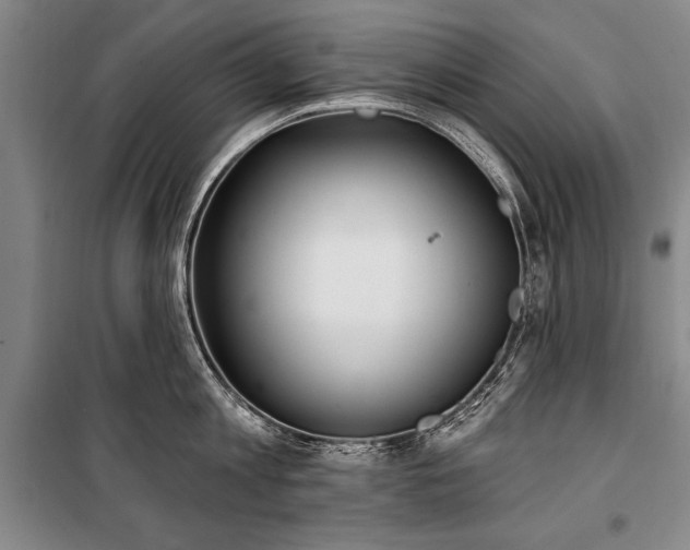 X0000101180813200806271250