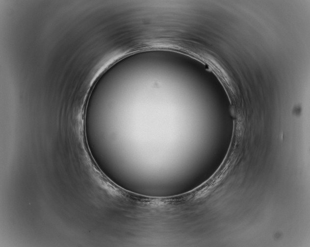 X0000101180814200806271250