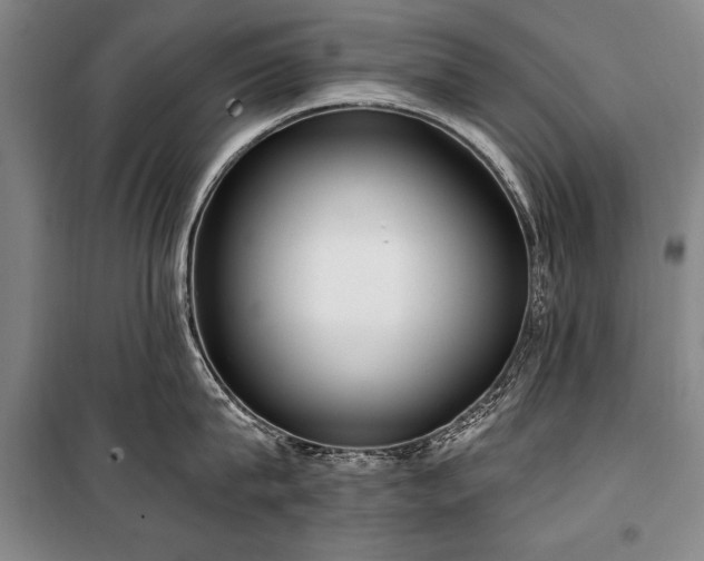 X0000101180815200806271250
