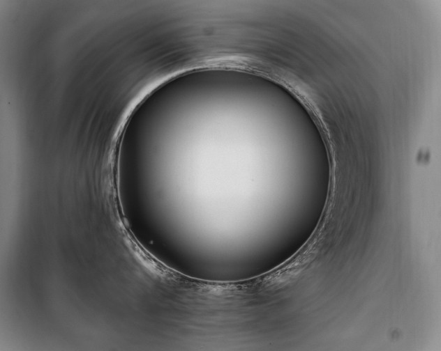 X0000101180816200806271250