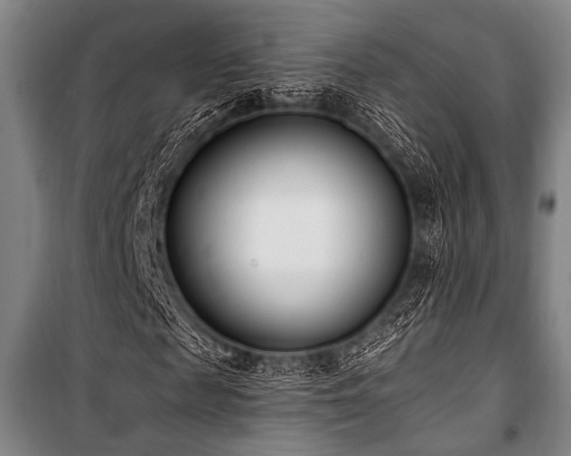 X0000101180817200806271249